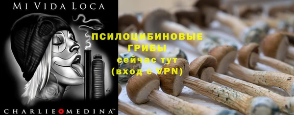 мескалин Алексин