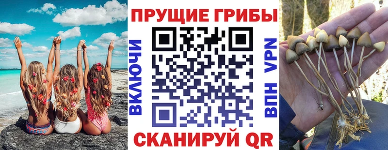 Псилоцибиновые грибы мухоморы Волгоград